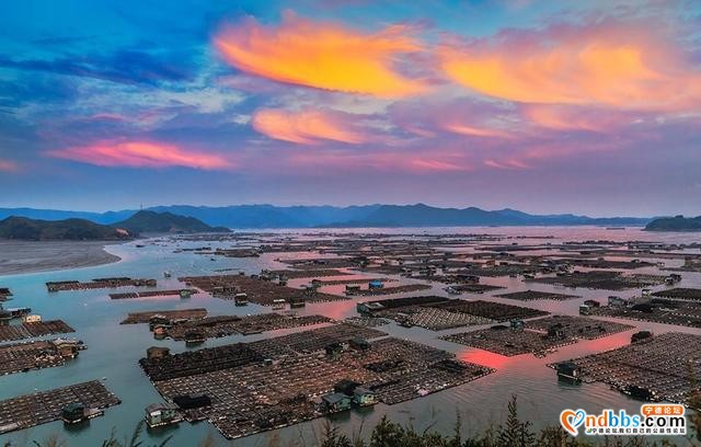 福建这个宝藏地，风景媲美鼓浪屿，网友：能去一趟太值了-8.jpg