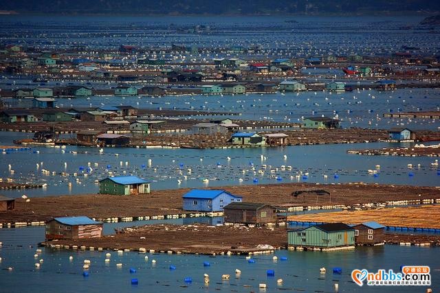 福建这个宝藏地，风景媲美鼓浪屿，网友：能去一趟太值了-9.jpg