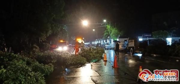 暴雨造成多处险情 看宁德公路人如何“见招拆招”-3.jpg