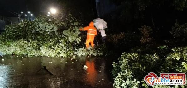 暴雨造成多处险情 看宁德公路人如何“见招拆招”-4.jpg