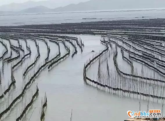 在霞浦，蹲一个日出-6.jpg