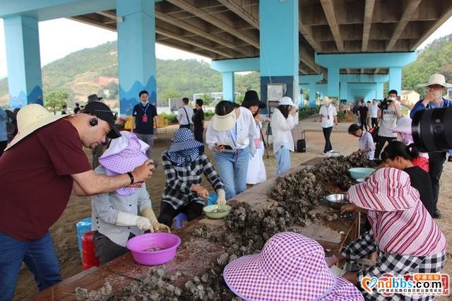 国际媒体宁德倾听脱贫致富奔小康的动人故事 点赞乡村华丽“蝶变”-3.jpg