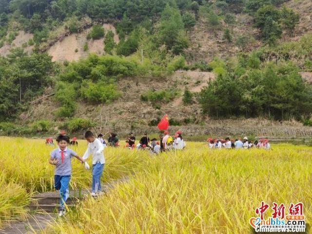 “黄金周”遇见福建宁德：自驾游、乡村游成为出游主流-6.jpg