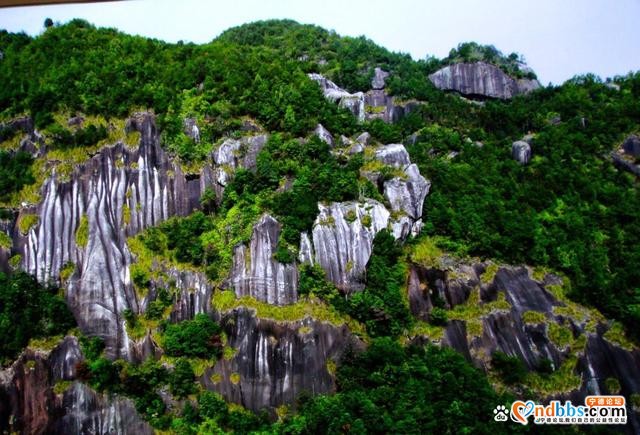 福建宁德——国家森林城市！经典必游的六个美景，你都去对了吗？-11.jpg