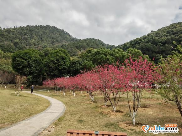 蕉城哪里有吃的逛的地方，比如美食街，地摊夜市的-1.jpg