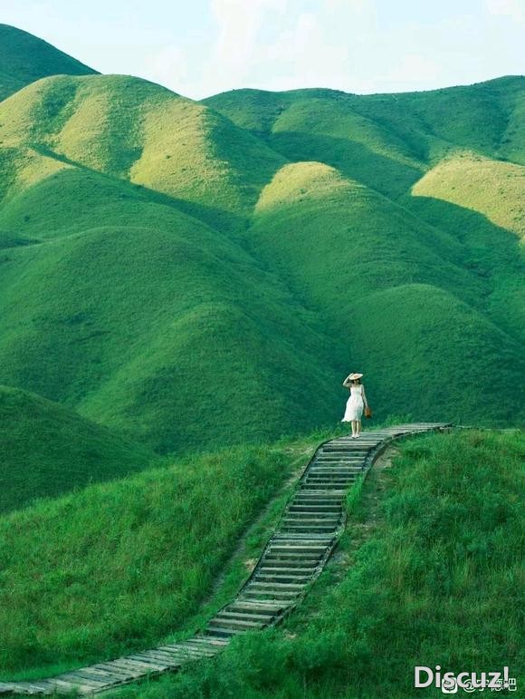 在福建闯入宫崎骏世界的抹茶山-1.jpg