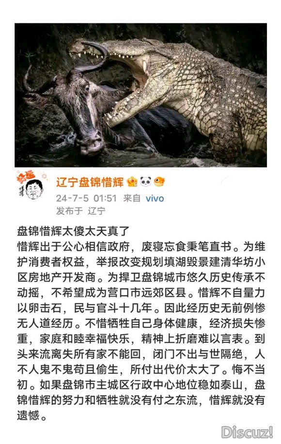 史无前例盘锦惜辉经历一目了然-6.jpg